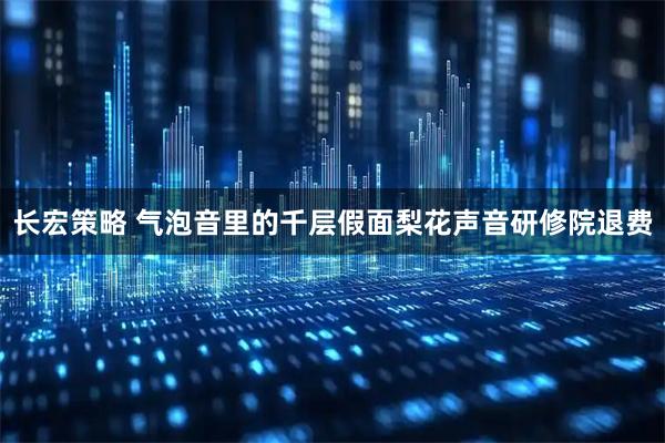 长宏策略 气泡音里的千层假面梨花声音研修院退费