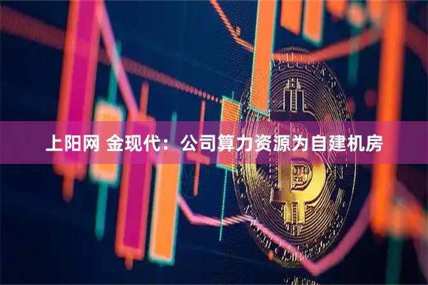 上阳网 金现代：公司算力资源为自建机房