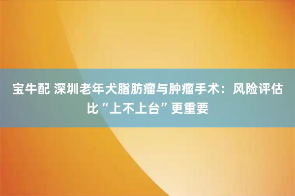 宝牛配 深圳老年犬脂肪瘤与肿瘤手术：风险评估比“上不上台”更重要