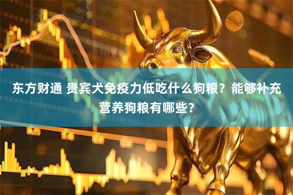 东方财通 贵宾犬免疫力低吃什么狗粮？能够补充营养狗粮有哪些？