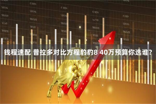 钱程速配 普拉多对比方程豹豹8 40万预算你选谁？
