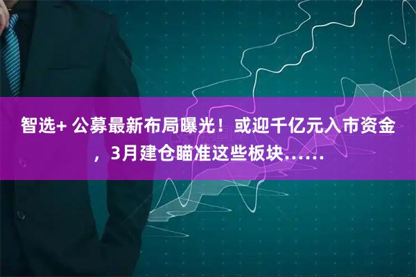 智选+ 公募最新布局曝光！或迎千亿元入市资金，3月建仓瞄准这些板块……